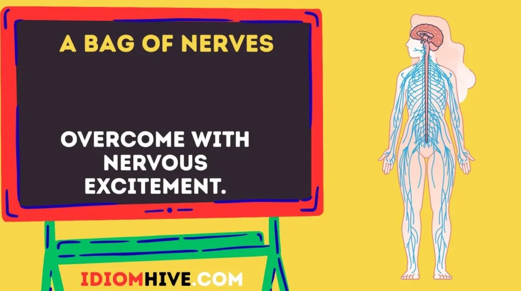 A Bag of Nerves