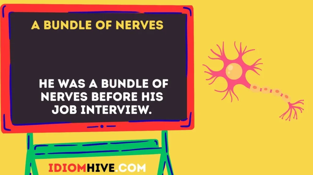 A Bundle of Nerves