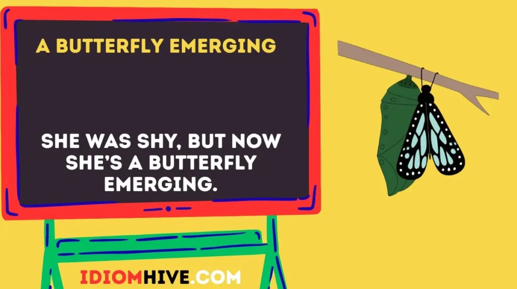 A Butterfly Emerging