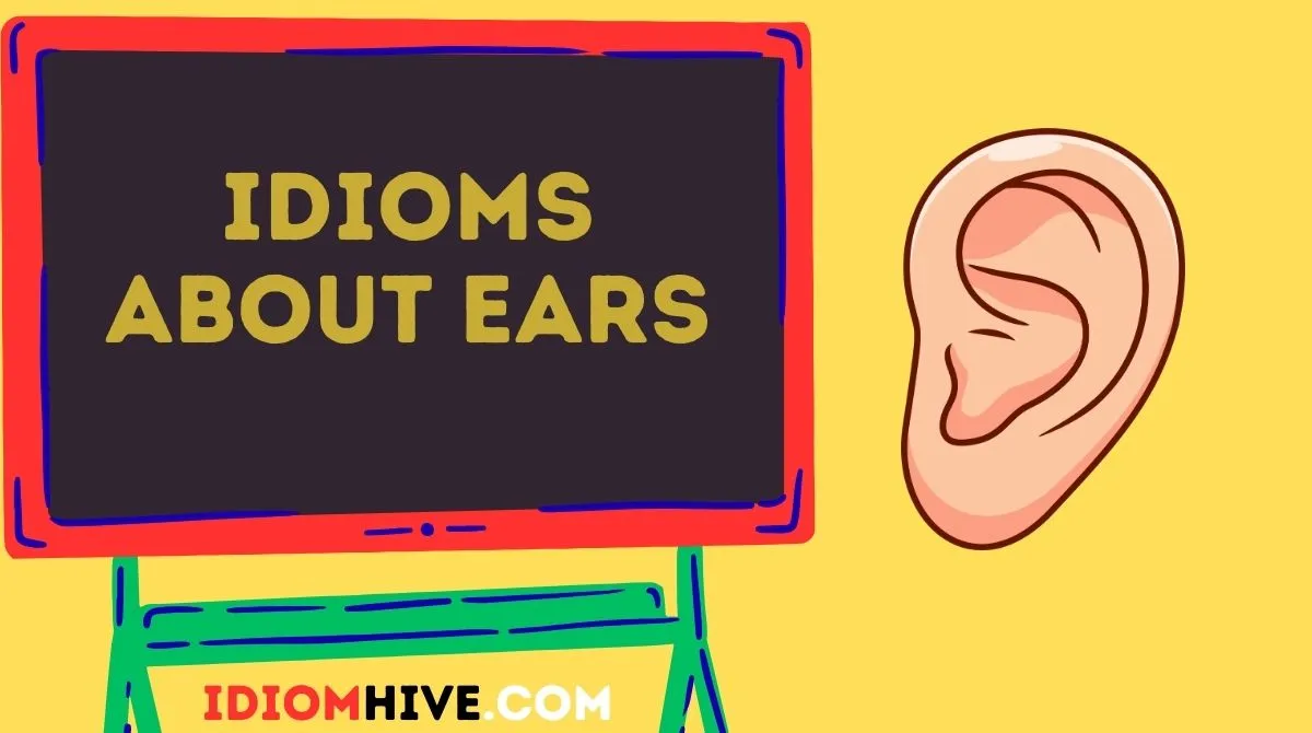 Idioms About Ears