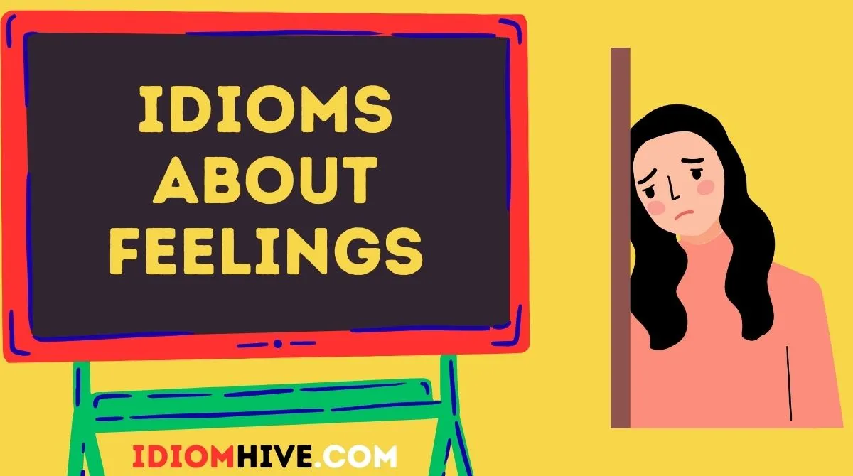 Idioms About Feelings