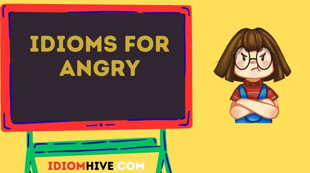 Idioms for Angry