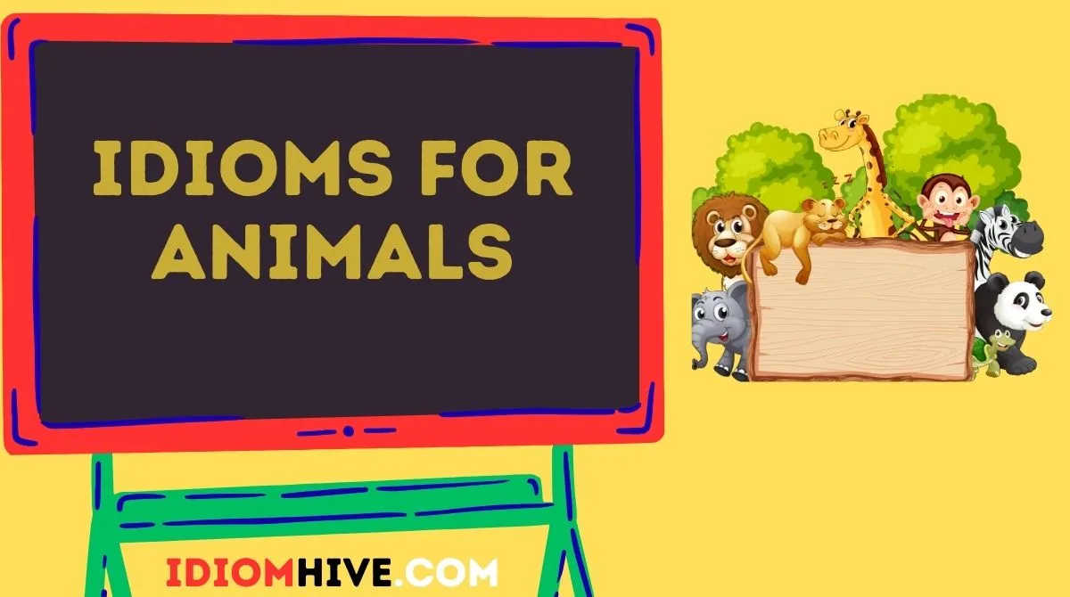 Idioms for Animals