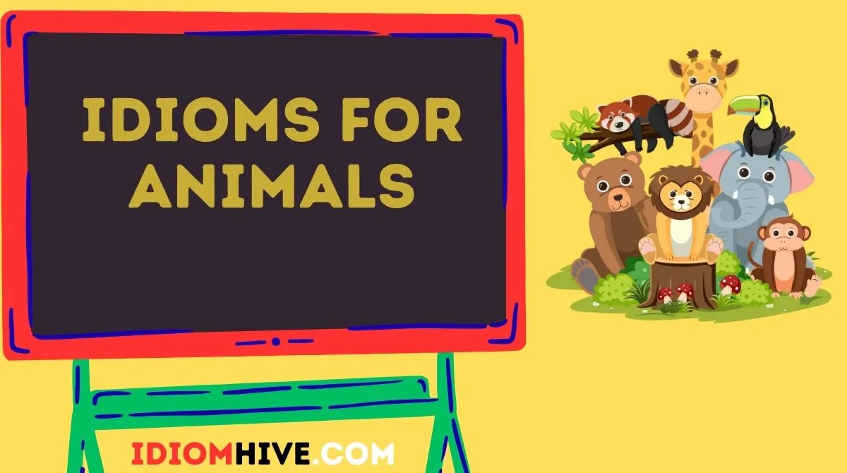Idioms for Animals
