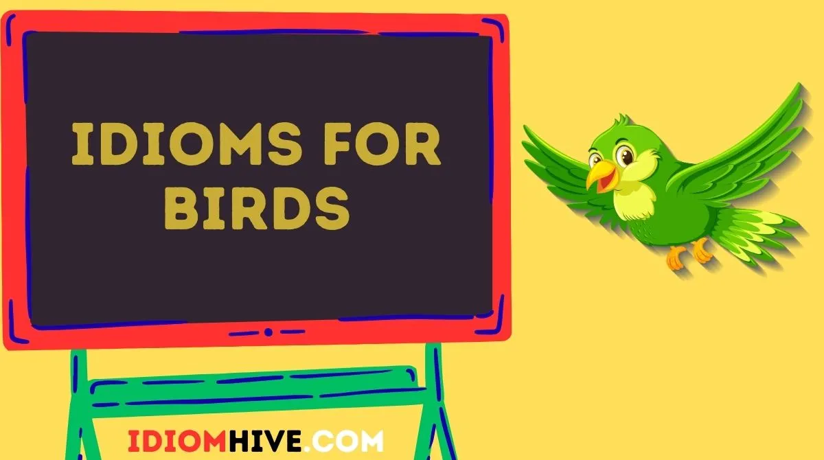 Idioms for Birds