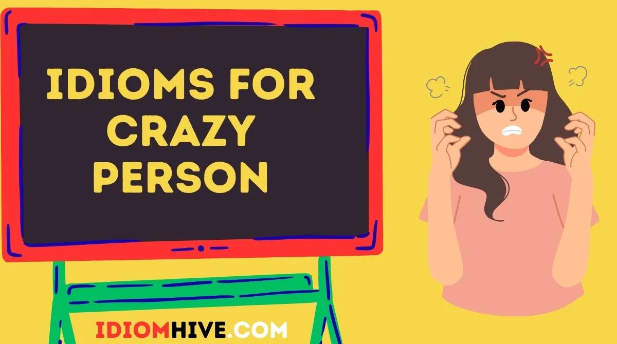 Idioms for Crazy Person
