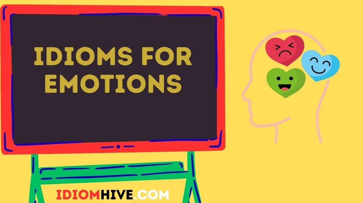 Idioms for Emotions