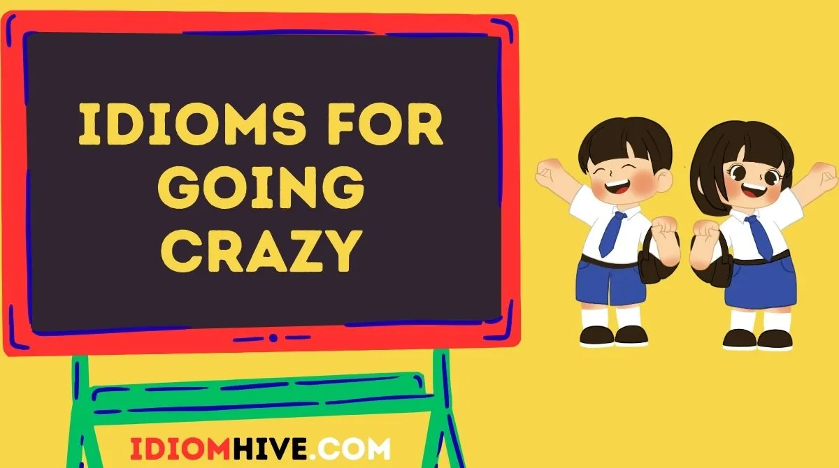 Idioms for Going Crazy