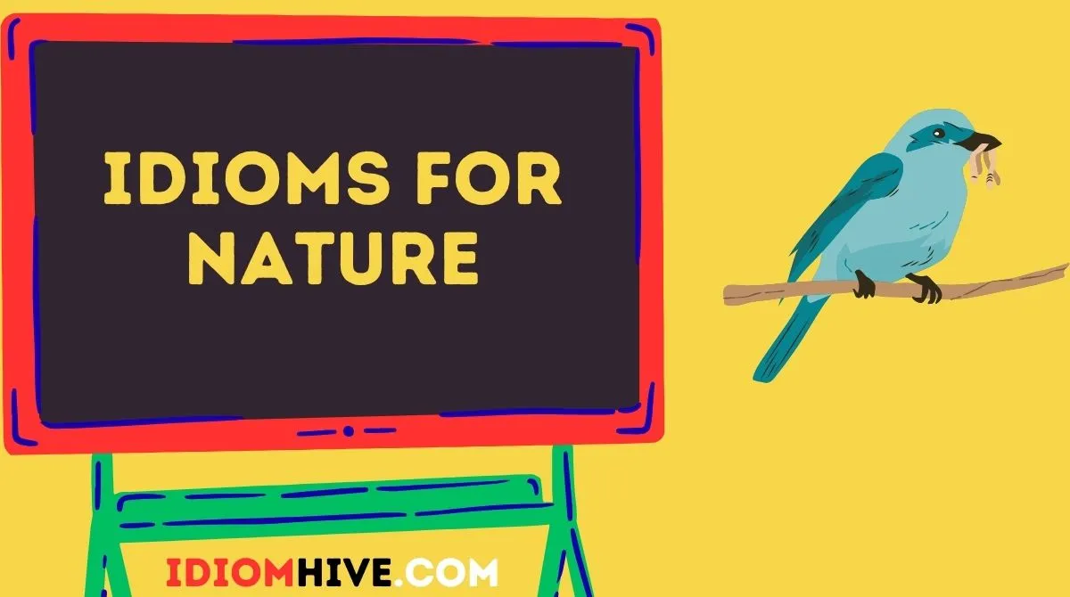 Idioms for Nature