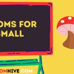 Idioms for Small