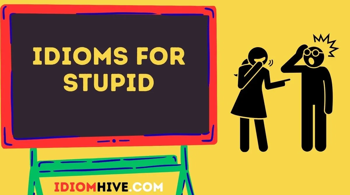 Idioms for Stupid