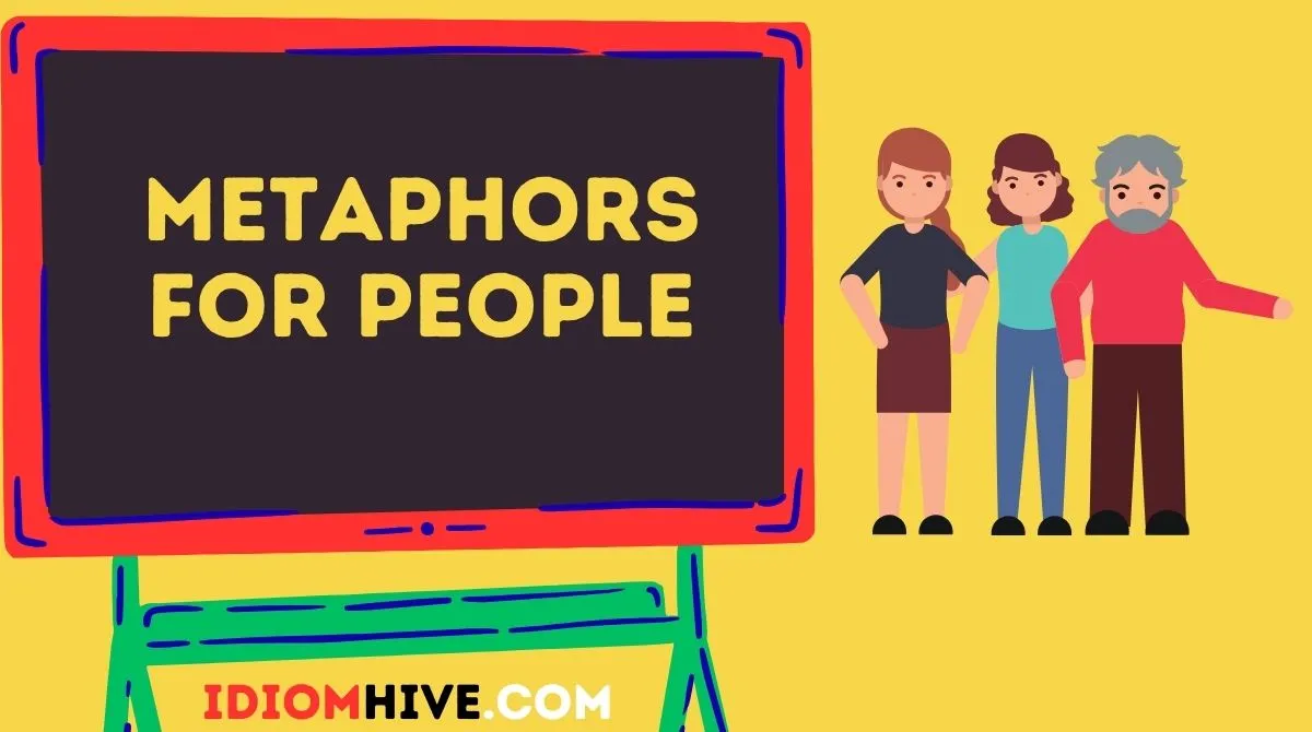 Metaphors for People